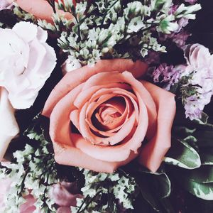 Close-up of rose bouquet