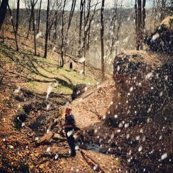 Rear view of man walking in forest