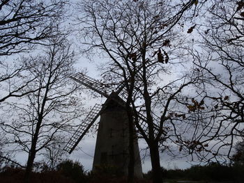 Low angle view of bare tree against sky