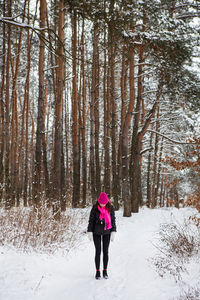 A girl in a pink scarf and hat stands in the middle of a pine forest. 