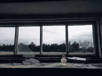 Trees and table against sky seen through glass window