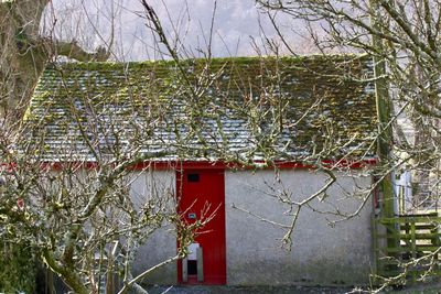 House against bare trees