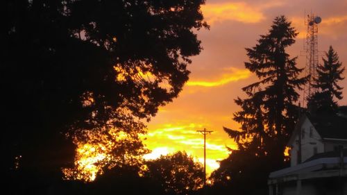 Low angle view of silhouette trees against sky at sunset