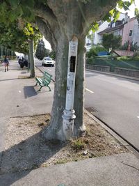 Street amidst trees in city