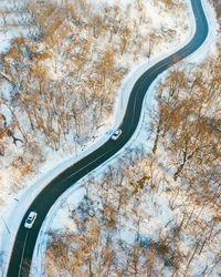 High angle view of road amidst trees during winter