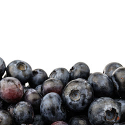 Close-up of blueberries against white background