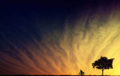 Low angle view of silhouette trees against sky during sunset