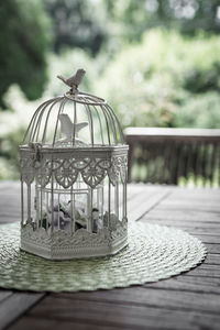 Birdcage on table