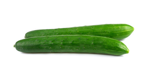 Close-up of green leaf against white background