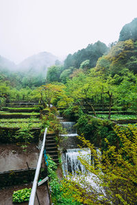 Scenic view of river by mountains against sky