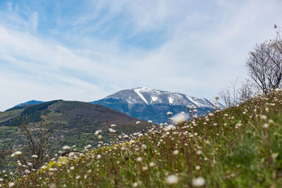 Scenic view of snowcapped mountains against sky