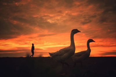 Silhouette men standing on land against sky during sunset