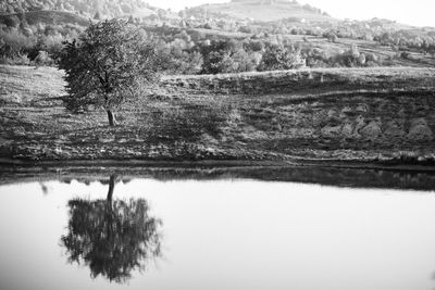 Scenic view of lake by trees against sky