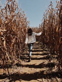 Frolicking in the corn maze