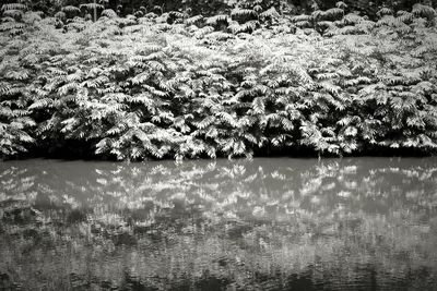 Full frame shot of water