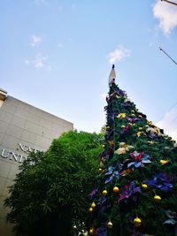 Low angle view of flower tree in city against sky