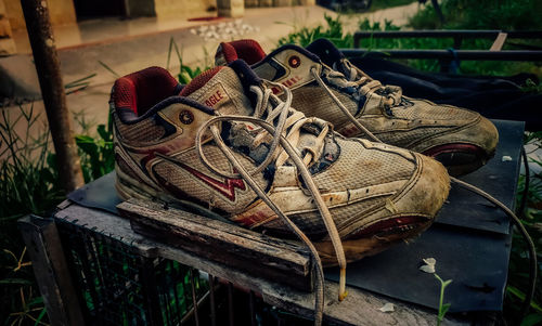 Close-up of stuffed toy