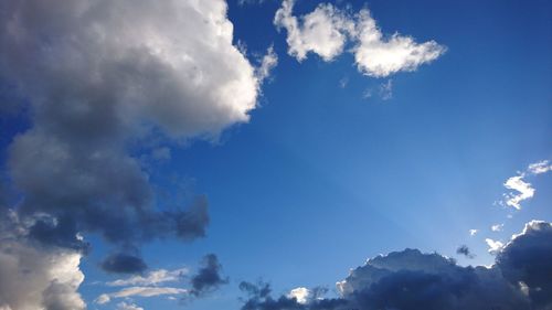 Low angle view of trees against blue sky