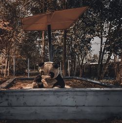View of a dog sitting on field