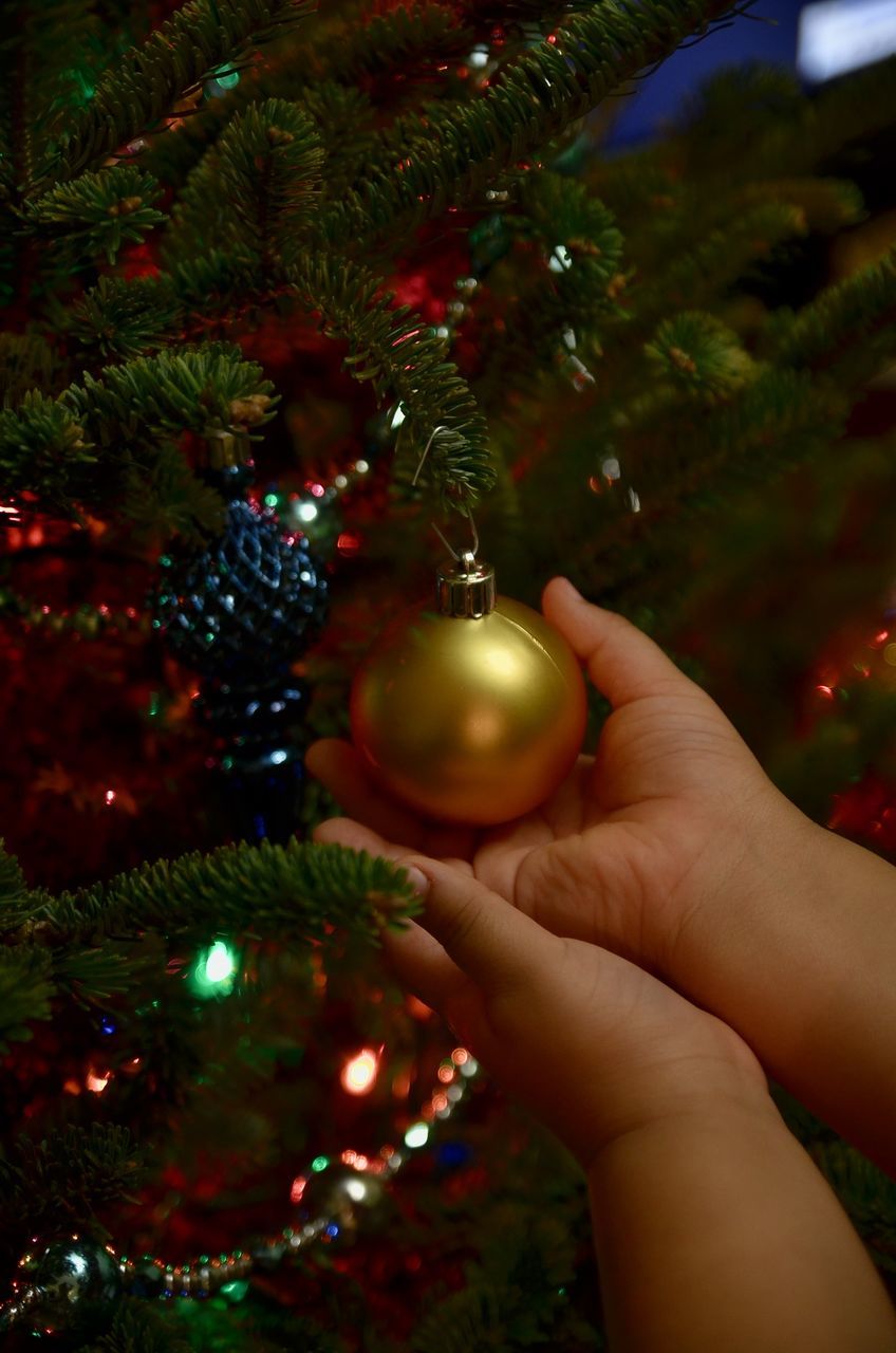 person, holding, celebration, part of, cropped, food and drink, lifestyles, leisure activity, human finger, unrecognizable person, freshness, close-up, christmas decoration, green color, christmas tree, christmas ornament, fruit