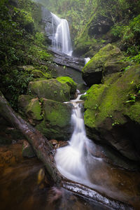 Scenic view of waterfall in forest