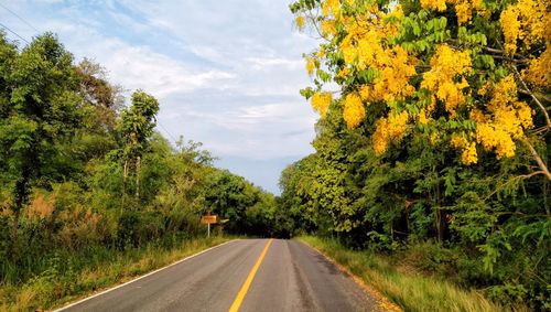 Road amidst trees against sky