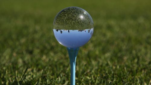 Close-up of crystal ball on field