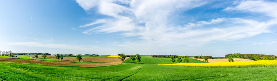 Scenic view of agricultural field against sky