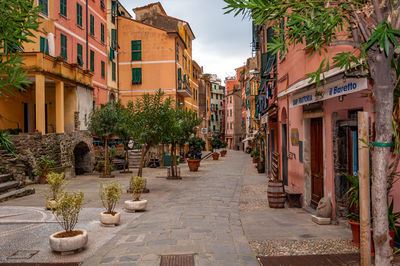 Street amidst buildings in town