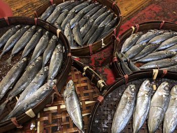 High angle view of fish for sale in market