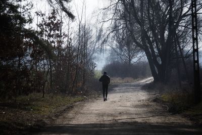 Rear view of man walking on road in forest