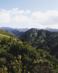 nature