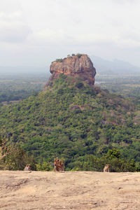 Rock formations on landscape