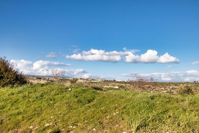 Scenic view of landscape against blue sky