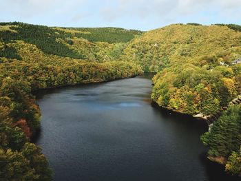 Scenic view of river amidst trees in forest against sky