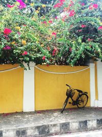 Flowers on bicycle by tree against yellow wall