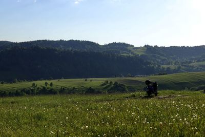 Scenic view of field against sky