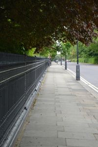 Walkway along trees