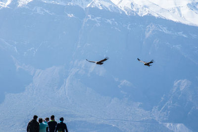 Group of birds flying over snowcapped mountain
