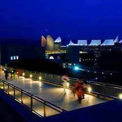 Woman standing in illuminated city at night