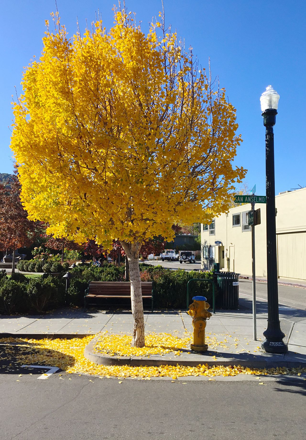 San Anselmo, California