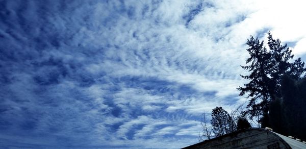 Low angle view of trees and building against sky