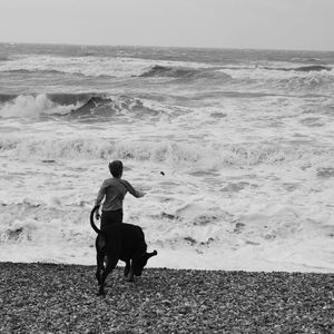 Rear view of man with dog on beach