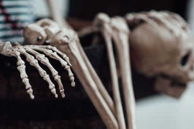 Close-up of meat on table