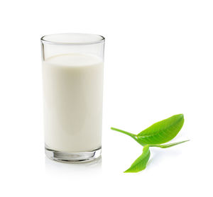 Close-up of beer in glass against white background