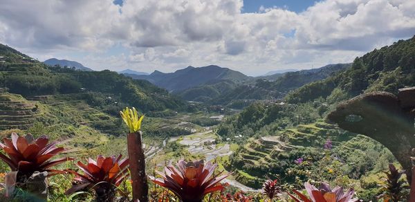 Panoramic view of green landscape and mountains against sky