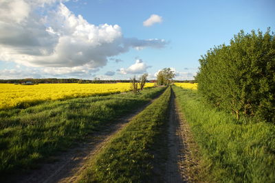 Road amidst field against sky