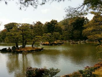 Scenic view of lake in forest against sky