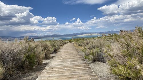 Boardwalk amidst plants on land against sky