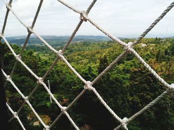 Close-up of chainlink fence against trees